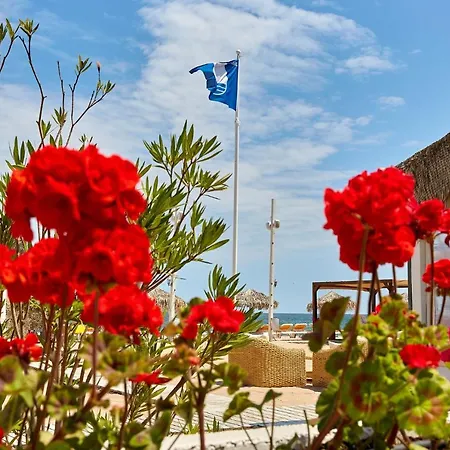 Madagascar Boutik Cytadell إيفوري نورد