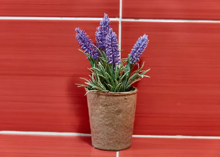 Madagascar Boutik Cytadell 4* אפורי נורד