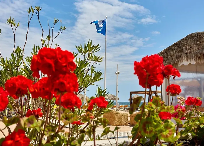 Madagascar Boutik Cytadell אפורי נורד