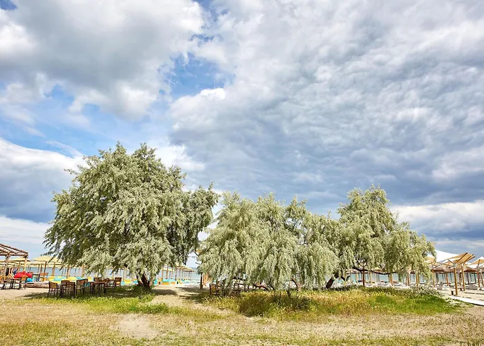 מלון דירות Madagascar Boutik Cytadell אפורי נורד